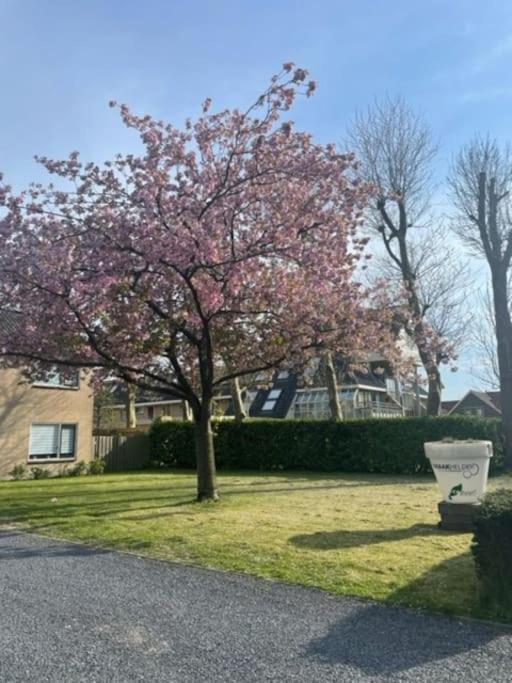 Holidayhome Zonnestraal 9P Amsterdam And The Beach Heerhugowaard Zewnętrze zdjęcie